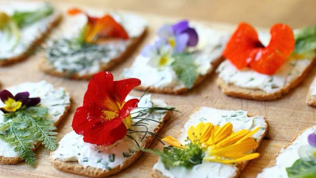 BALADE & DEGUSTATION Délicieuses fleurs sauvages du Printemps (Bois de Vincennes)
