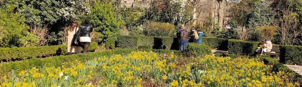 balade des jardins du marais 
