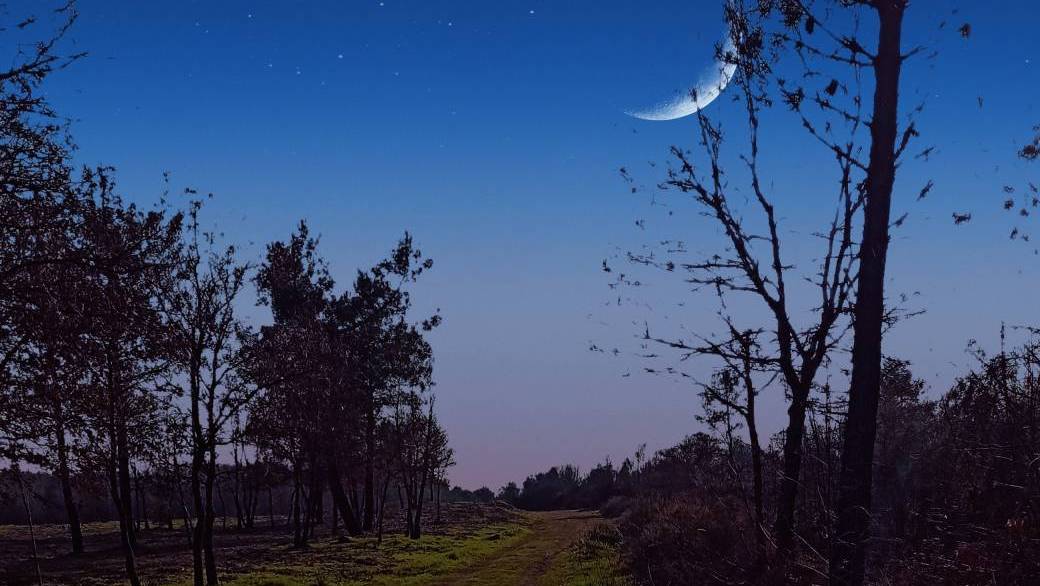 "Balade sous les étoiles du Barde au pays des Fées"