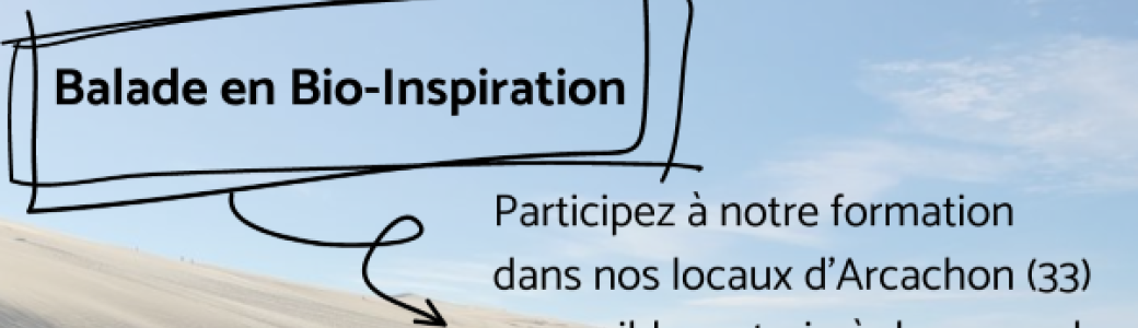 Balade en Bio-Inspiration