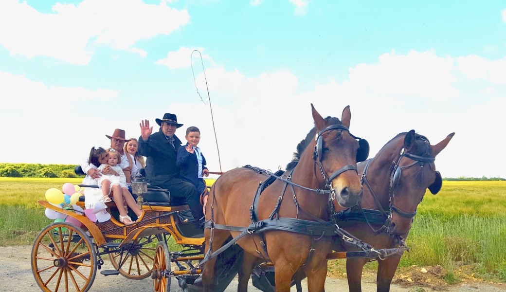 Balade en calèche à la découverte de la campagne augeronne
