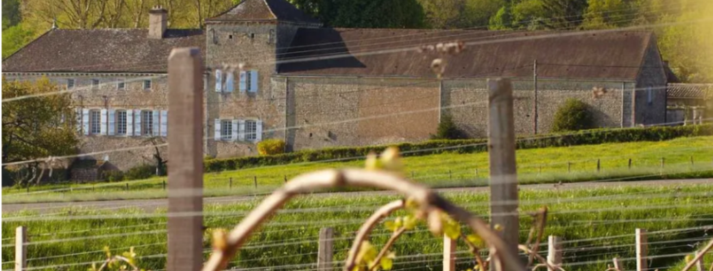 Balade en gyropodes_Grande boucle à Ozenay !