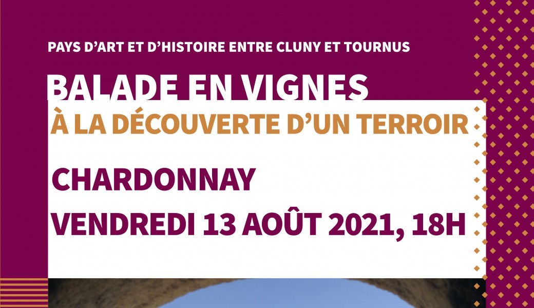 Balade en vignes à Chardonnay