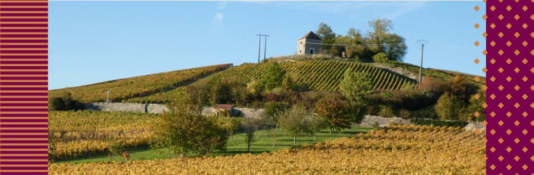 Balade en vignes à Saint-Gengoux-le-National