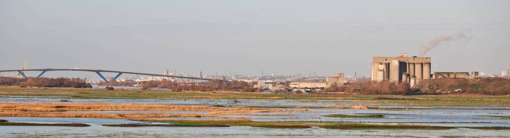 Balade : Entre roseaux et industries