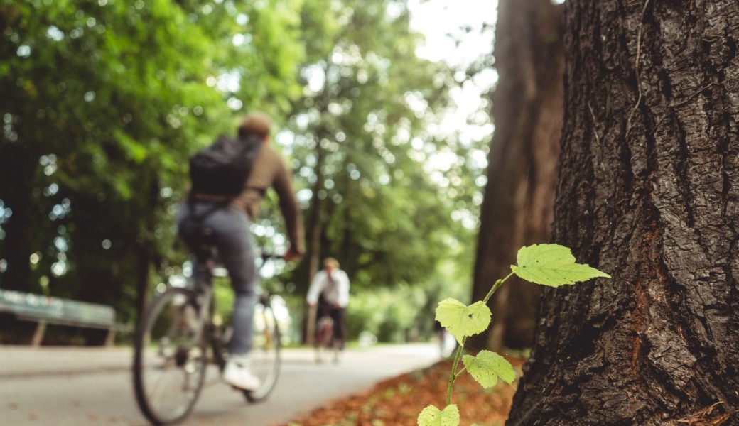 Balade et découverte à vélo