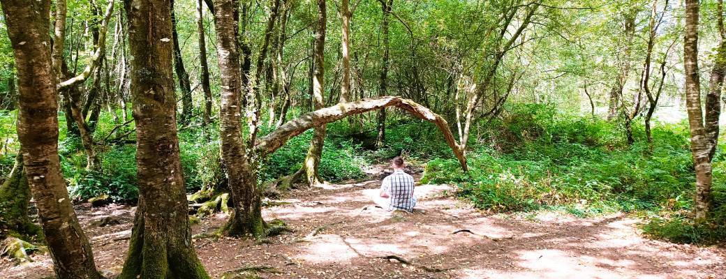 Balade et Hypnose en Brocéliande - Barenton
