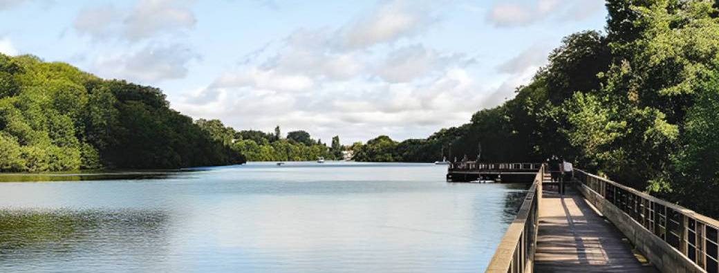 Balade et méditation sur les bords de l'Erdre (JO20062026)