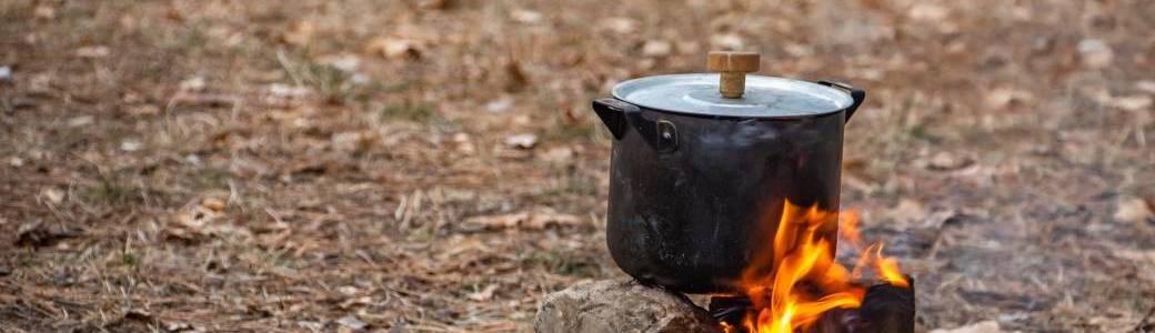 Balade en Forêt comestible de chez nous