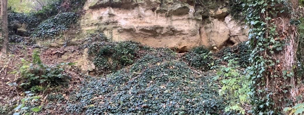 Balade géologique à Chars : en longeant la Viosne