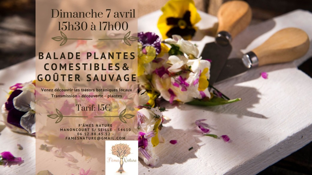 Balade & goûter sauvage