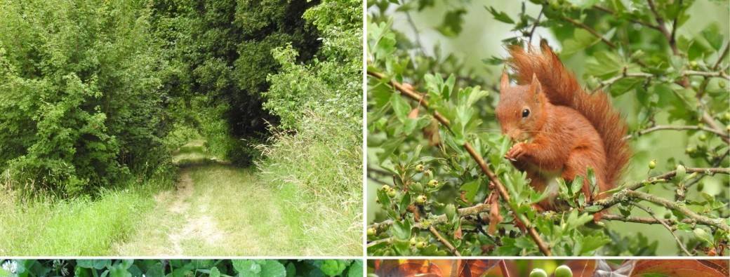 Balade Indice de Biodiversité Potentielle