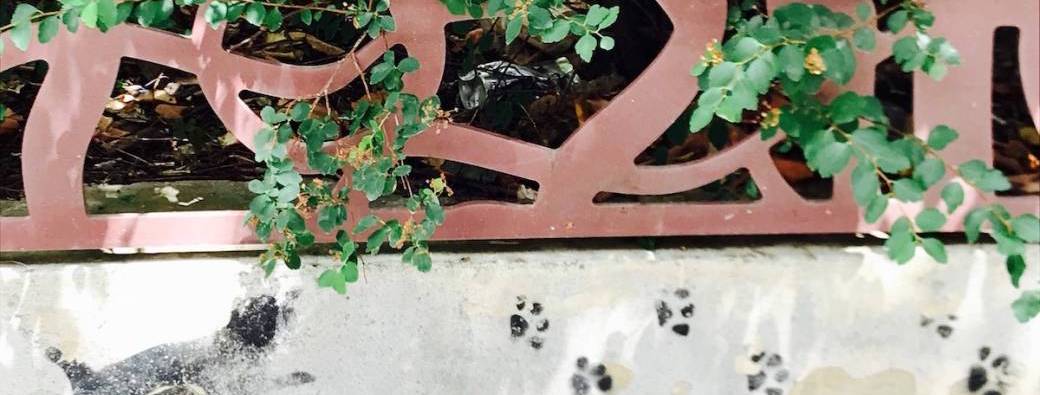 Traversez les jardins frais du 12e (+apéro) !
