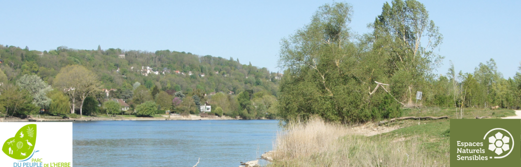Balade le long des berges