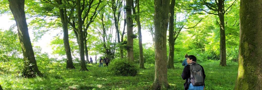 Balade "Les arbres nourriciers" - Namur (2026)