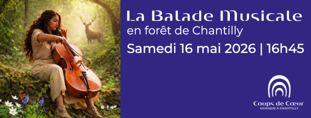 BALADE MUSICALE EN FORÊT