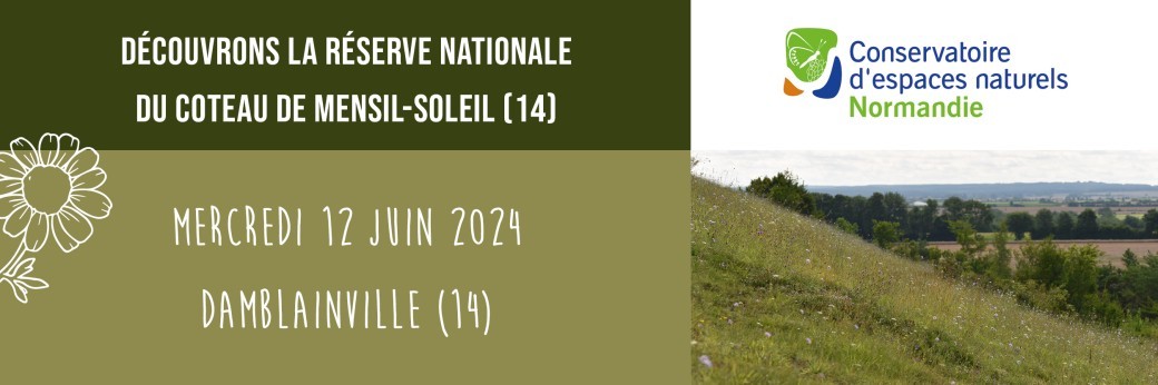 Balade Nature à la Réserve Naturelle Nationale du coteau de Mesnil-Soleil ! 12/06/2024