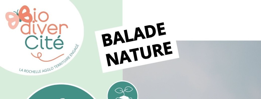 Balade nature au cœur du parc Atlantech