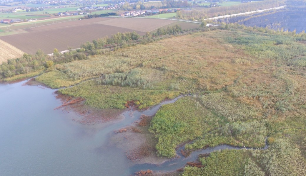 Balade nature crépusculaire en carrière - Antoing