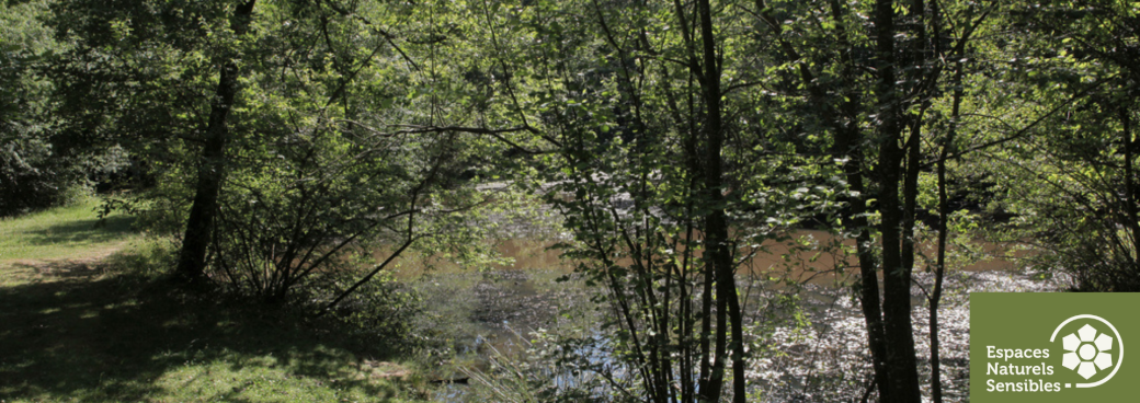 Balade nature entre mares et carrière