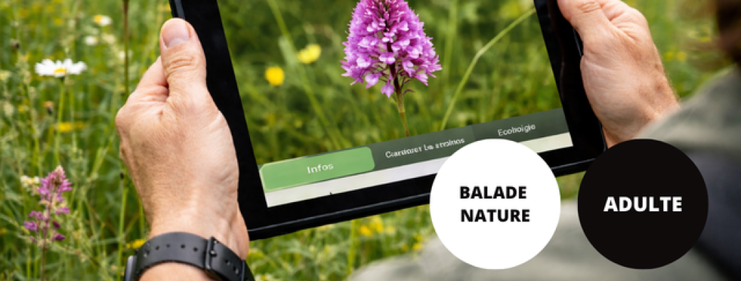 Balade Nature et numérique // Agora Médiathèque Musée et La Neuville en TAF