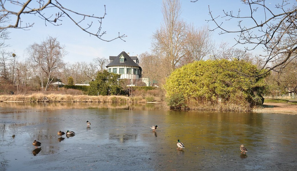 Balade nature le Vésinet (Yvelines)