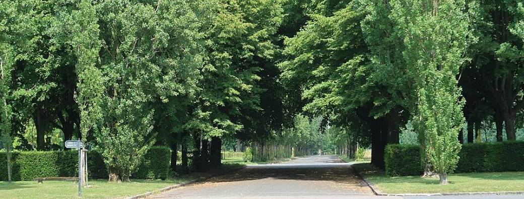 Balade nature: les oiseaux du Cimetière Parisien de  Thiais