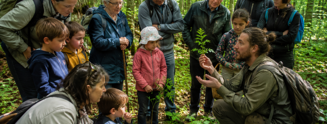 Balade nature - Les plantes comestibles