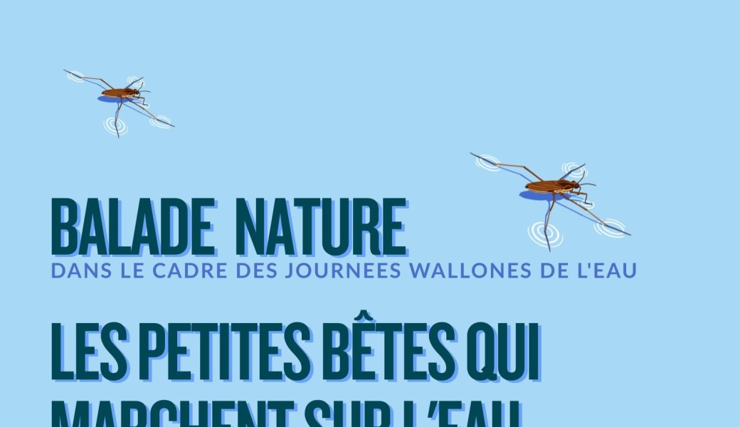 Balade nature "Les ptites bêtes qui marchent sur l'eau"