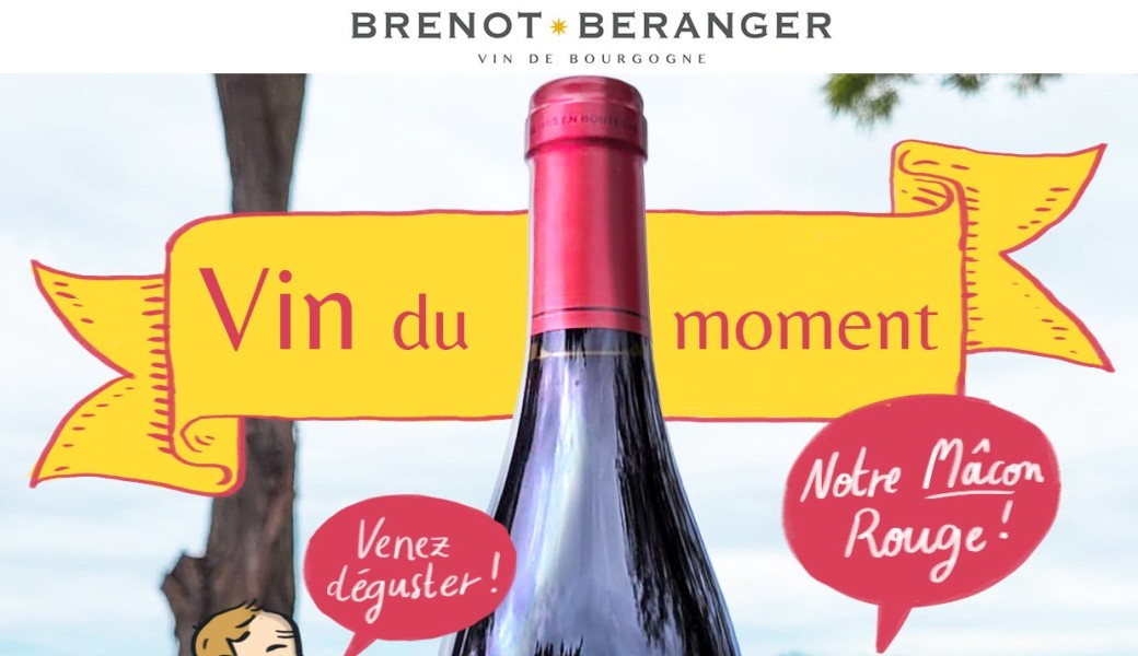 Balade oenologique / visite du cuvage / dégustation sur le thème du Mâcon Rouge.