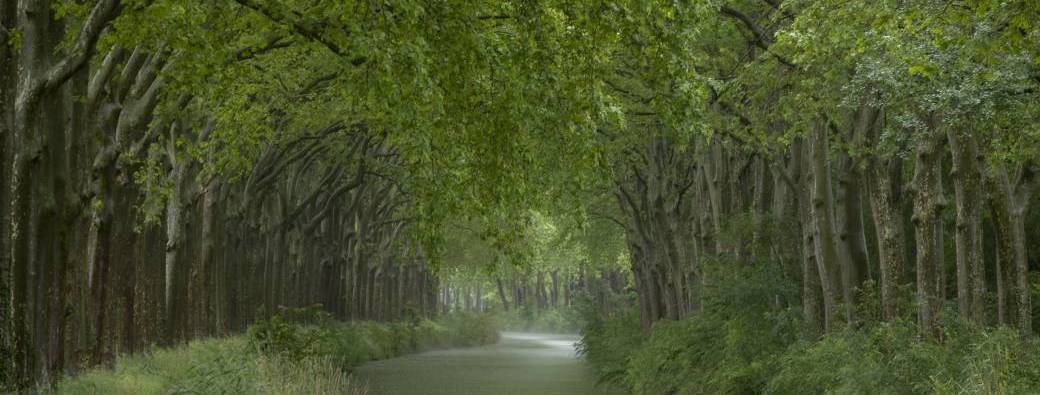 Balade olfactive au Canal