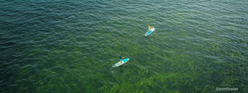 Paddle on Seine Paddle on Seine