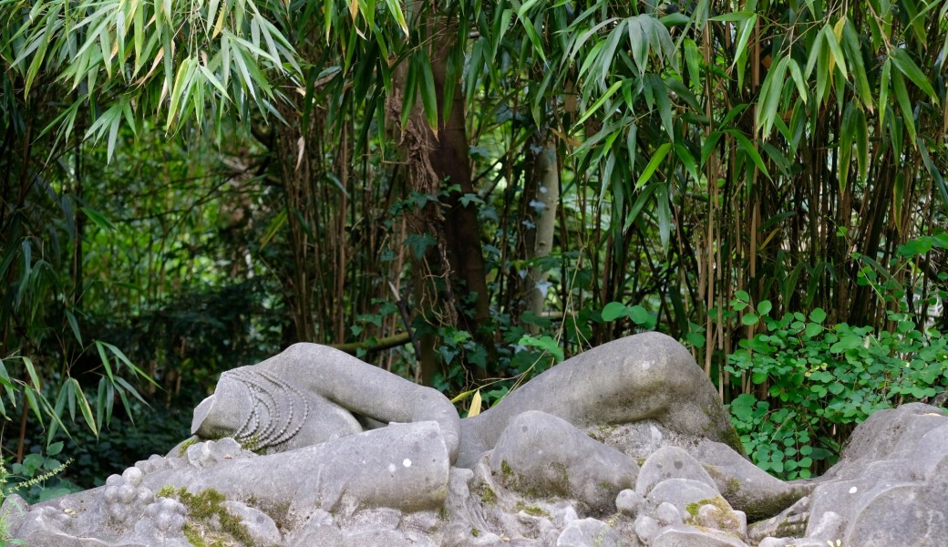 balade photo au jardin d'Agronomie Tropicale