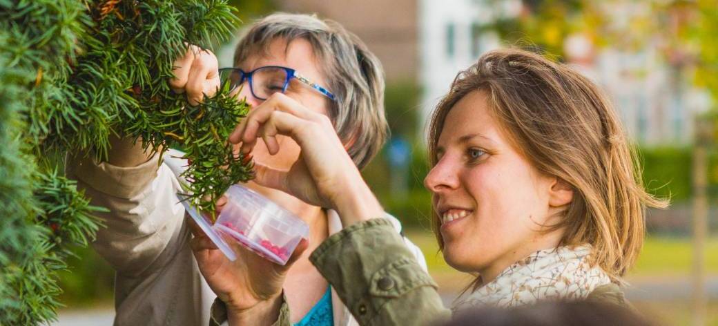 Balade "Plantes épices" - Bruxelles (2026)