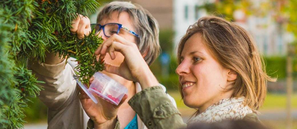 Balade "Plantes épices" - Namur (2026)