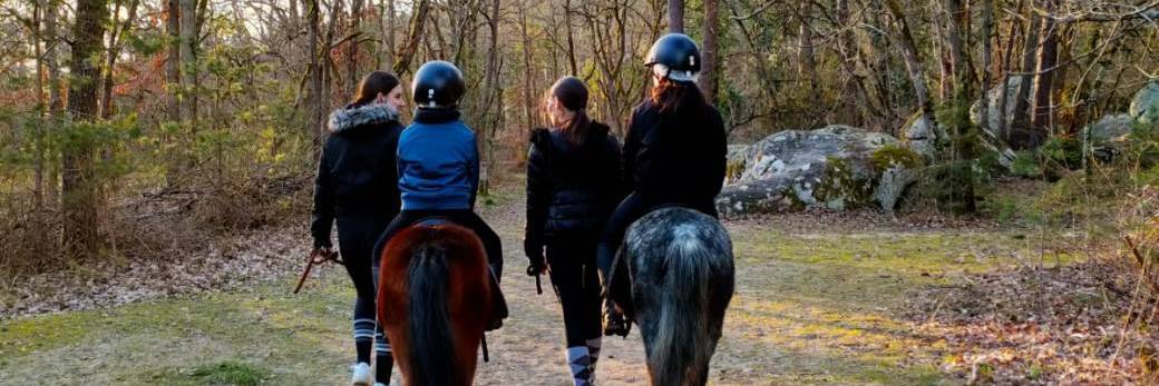 Balade Poney