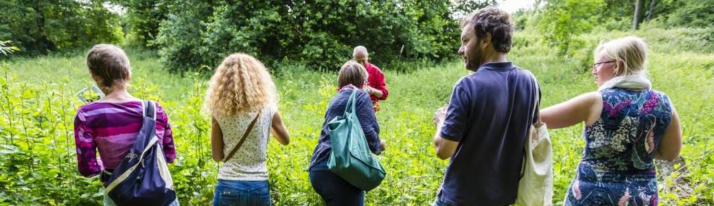 Balade "Quelques familles botaniques" - Namur (2024)