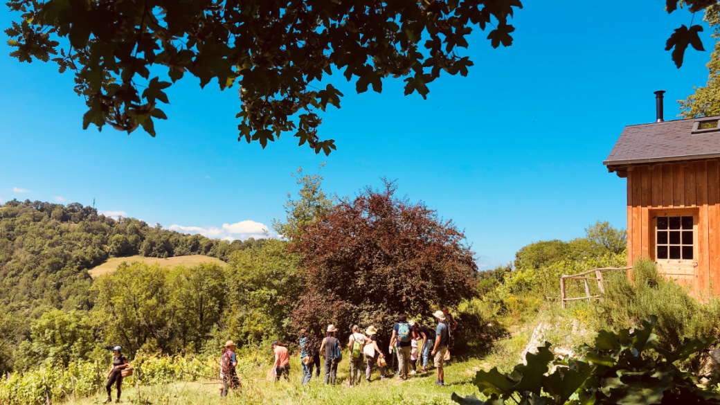 Atelier Culinaire Sauvage #7