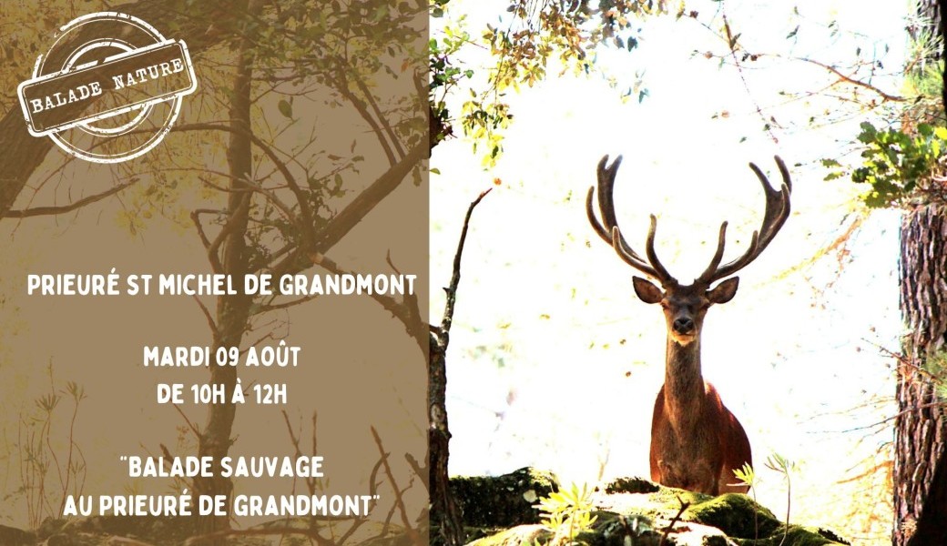 Balade sauvage au Prieuré de Grandmont