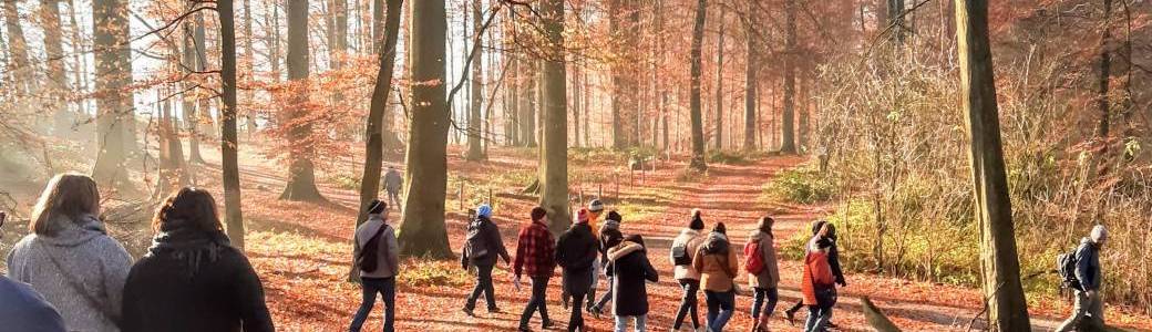 Balade sauvage automne - Namur (2024)
