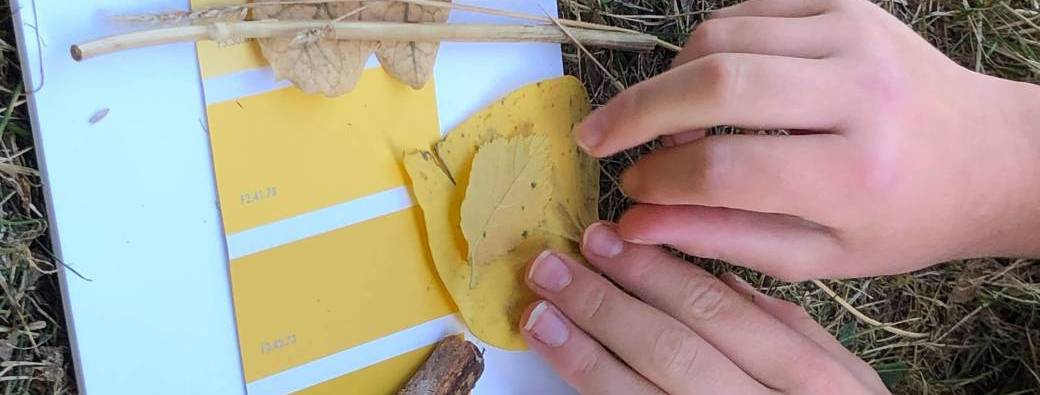 Balade sensorielle & sensible