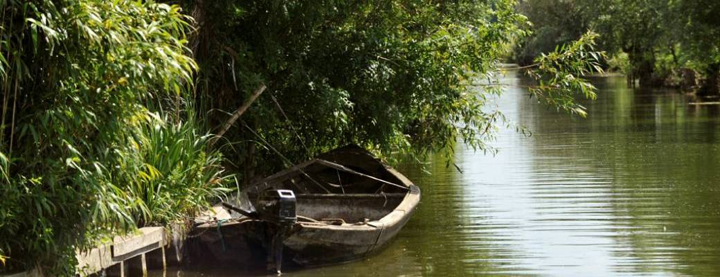 Balade spéciale "visite sensorielle du marais". Balade en bateau