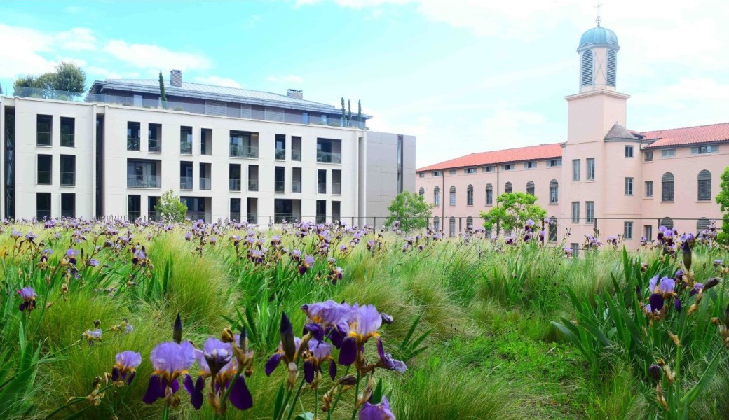 Balade urbaine : l'Antiquaille hier et aujourd'hui.