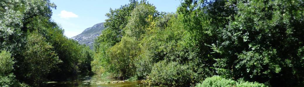Balade dans la vallée de la Buèges