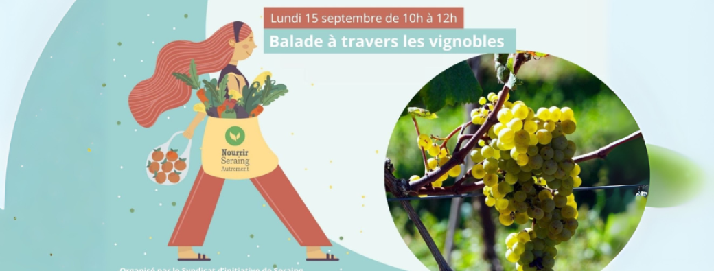 Balade à travers les vignobles