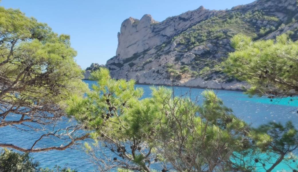 Balade & Yoga du Cap Redon à Sormiou