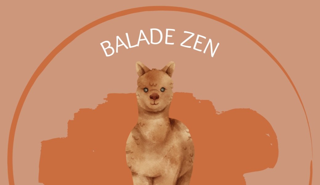 Balade zen avec mes alpagas
