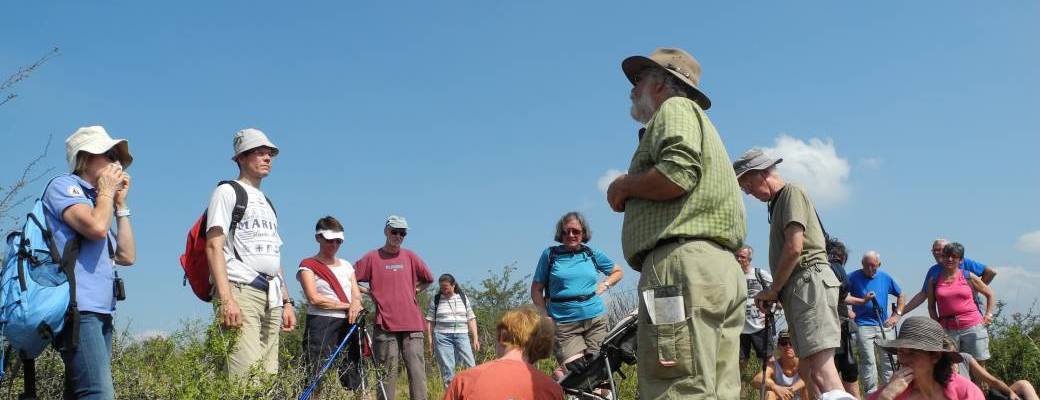 Balades d'été 2023 Balades d'été 2023