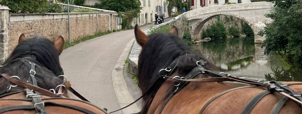Balades en calèche Armançon Semur en Auxois