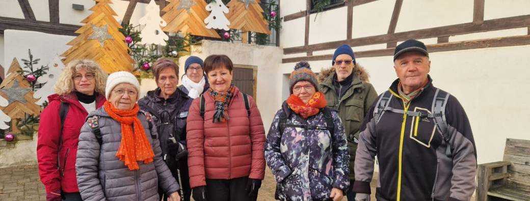 Balades hivernales dans les vignes